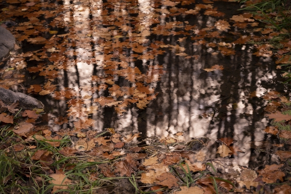 automnecascadedespaiens1webE2787A7C-F6A7-71A1-0055-81911EB8628C.jpg